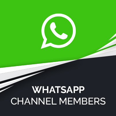 WhatsApp Channel Followers